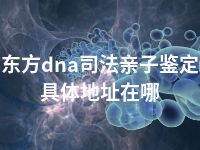 东方dna司法亲子鉴定具体地址在哪