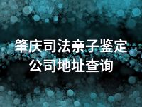 肇庆司法亲子鉴定公司地址查询