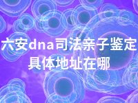 六安dna司法亲子鉴定具体地址在哪