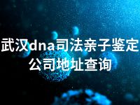 武汉dna司法亲子鉴定公司地址查询