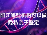 阳江哪些机构可以做隐私亲子鉴定