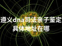 遵义dna司法亲子鉴定具体地址在哪