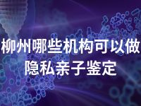 柳州哪些机构可以做隐私亲子鉴定