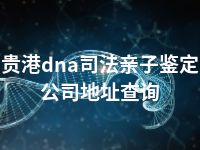 贵港dna司法亲子鉴定公司地址查询