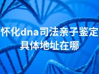 怀化dna司法亲子鉴定具体地址在哪