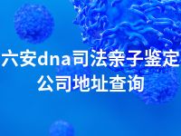 六安dna司法亲子鉴定公司地址查询