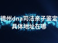 德州dna司法亲子鉴定具体地址在哪