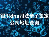 银川dna司法亲子鉴定公司地址查询