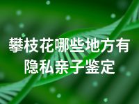 攀枝花哪些地方有隐私亲子鉴定