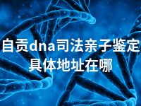 自贡dna司法亲子鉴定具体地址在哪