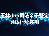 玉林dna司法亲子鉴定具体地址在哪