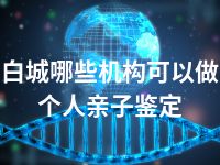 白城哪些机构可以做个人亲子鉴定