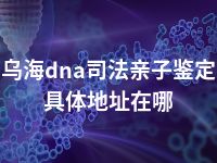 乌海dna司法亲子鉴定具体地址在哪