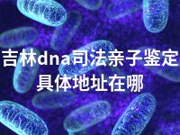 吉林dna司法亲子鉴定具体地址在哪