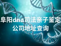 阜阳dna司法亲子鉴定公司地址查询