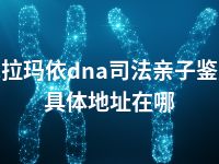 克拉玛依dna司法亲子鉴定具体地址在哪