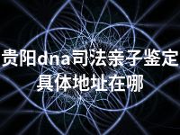 贵阳dna司法亲子鉴定具体地址在哪