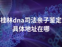 桂林dna司法亲子鉴定具体地址在哪