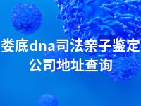 娄底dna司法亲子鉴定公司地址查询