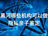 黑河哪些机构可以做隐私亲子鉴定