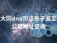 大同dna司法亲子鉴定公司地址查询