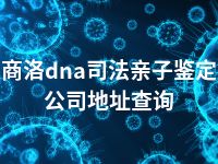 商洛dna司法亲子鉴定公司地址查询