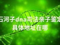 石河子dna司法亲子鉴定具体地址在哪