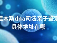 佳木斯dna司法亲子鉴定具体地址在哪