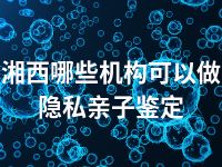 湘西哪些机构可以做隐私亲子鉴定