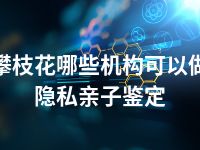 攀枝花哪些机构可以做隐私亲子鉴定