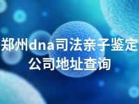 郑州dna司法亲子鉴定公司地址查询