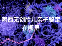 鸡西无创胎儿亲子鉴定在哪里