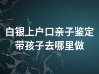 白银上户口亲子鉴定带孩子去哪里做