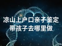 凉山上户口亲子鉴定带孩子去哪里做