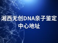 湘西无创DNA亲子鉴定中心地址