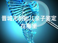 晋城无创胎儿亲子鉴定在哪里