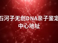 石河子无创DNA亲子鉴定中心地址