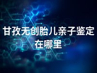 甘孜无创胎儿亲子鉴定在哪里