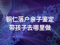 铜仁落户亲子鉴定带孩子去哪里做