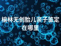 榆林无创胎儿亲子鉴定在哪里