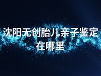 沈阳无创胎儿亲子鉴定在哪里