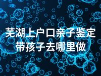 芜湖上户口亲子鉴定带孩子去哪里做