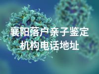 襄阳落户亲子鉴定机构电话地址