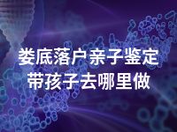 娄底落户亲子鉴定带孩子去哪里做