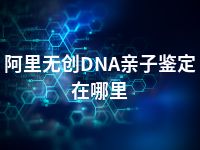 阿里无创DNA亲子鉴定在哪里