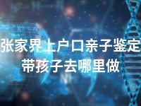 张家界上户口亲子鉴定带孩子去哪里做