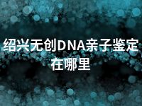 绍兴无创DNA亲子鉴定在哪里