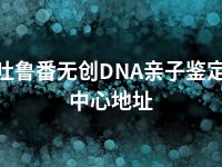 吐鲁番无创DNA亲子鉴定中心地址