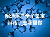 昭通落户亲子鉴定带孩子去哪里做