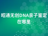 昭通无创DNA亲子鉴定在哪里